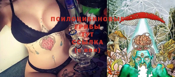 2c-b Абинск