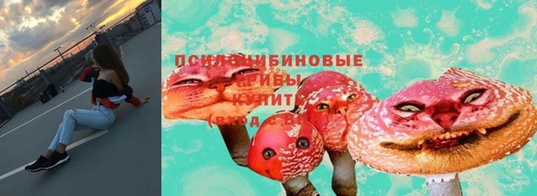 2c-b Абаза