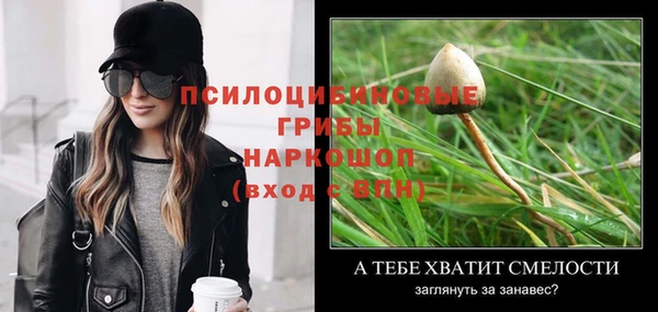 тгк Абдулино