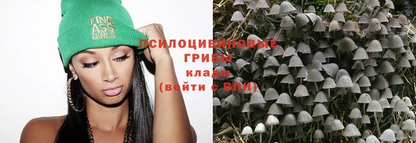 тгк Абдулино