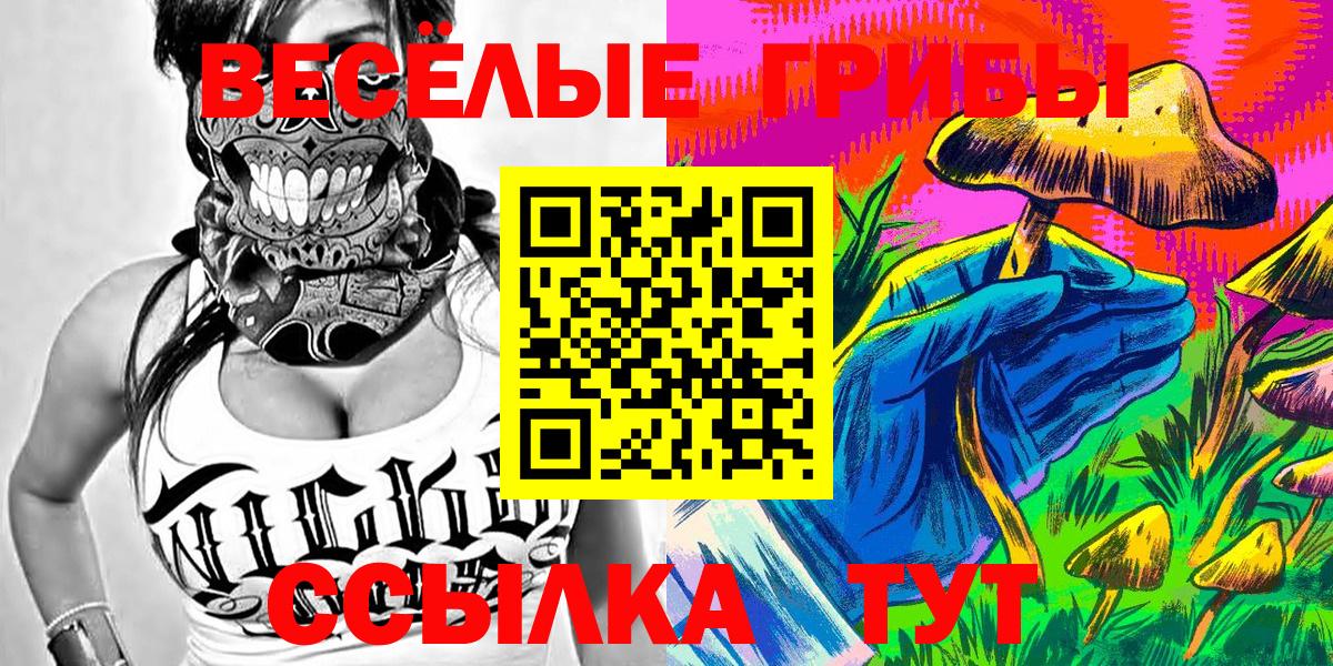 Галлюциногенные грибы GOLDEN TEACHER Холмск