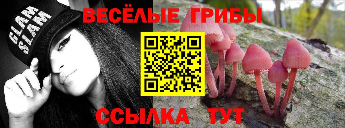 Холмск  Псилоцибиновые грибы Magic Shrooms  Вход с VPN  Галлюциногенные грибы мухоморы 